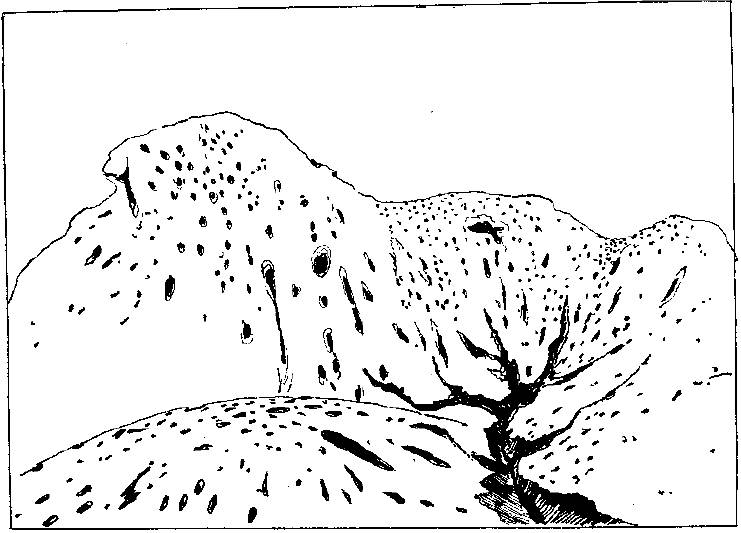 【地理视野】图说各类地貌类型