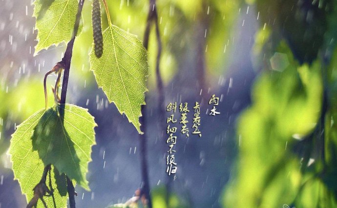 雨水之后,便进入了春天的第二乐章"变奏曲":气温回升,乍寒乍暖.