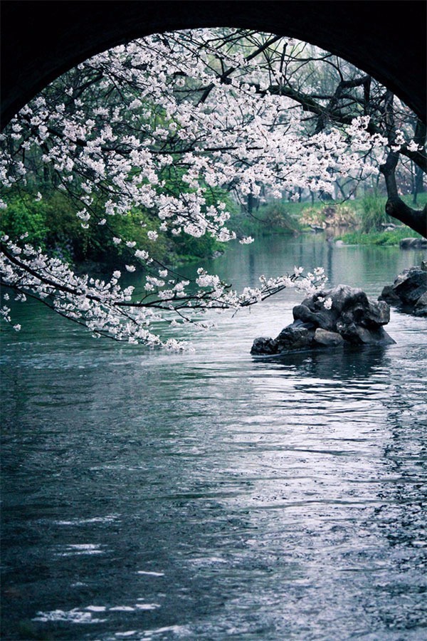 雨水| 江南二月多芳草,春在蒙蒙细雨中