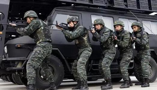 乌克兰国民警卫队周三表示,已同意与中国人民武装警察部队发展安全