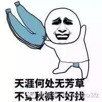 暴漫秋裤洗脑搞笑表情包