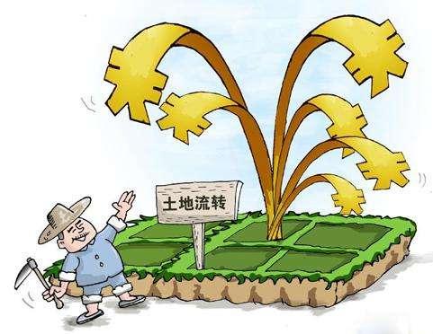 2017年农村土地分配政策有什么规定?_搜狐社