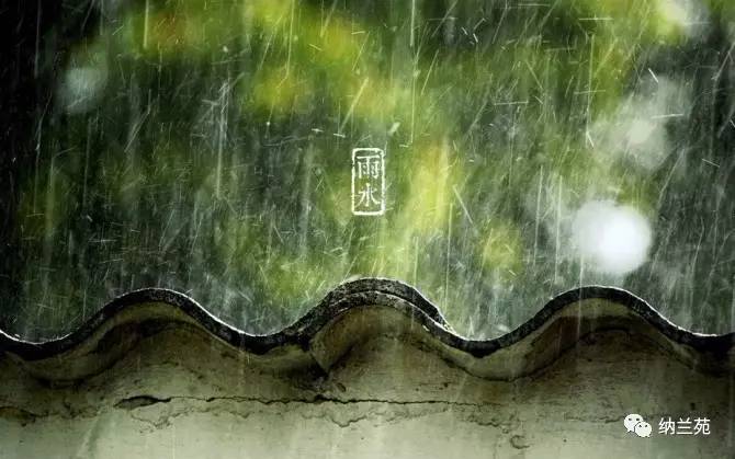 雨水| 随风潜入夜,润物细无声