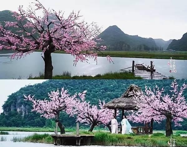 三生三世十里桃花里的风景究竟有多美?