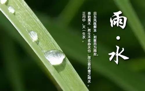 冷暖空气活动频繁 "雨水"来临乍暖还寒