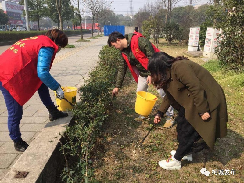 柯城区人口_衢州市柯城区人民政府公众服务平台(3)