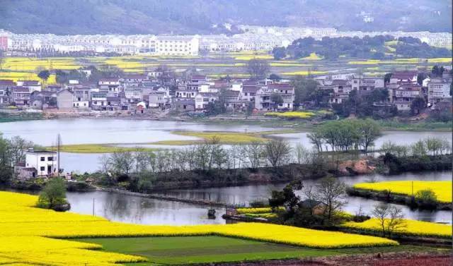 首页 中医养生 正文 杨亭村,是安庆市新农村建设试点村,我村坐落