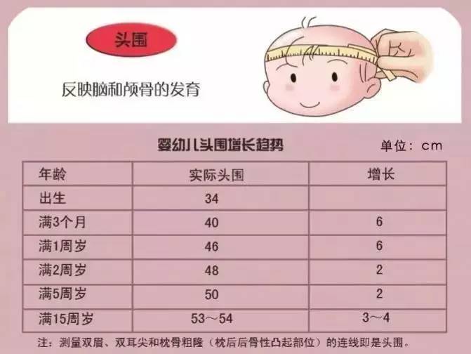 一般会于生后 3 个月生理闭合;颅缝一般于生后 6 个月闭合;前囟较大