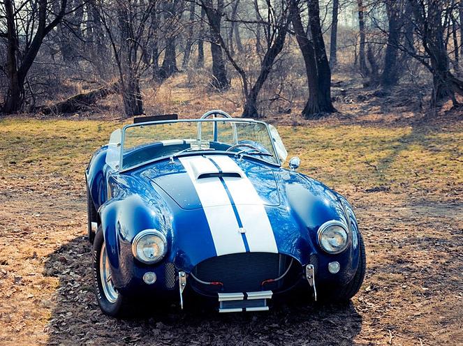 不死蛇王,ac cobra(眼镜蛇)