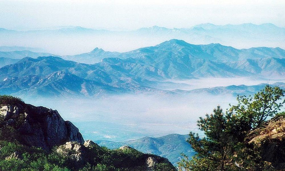 春眠不觉晓处处闻啼鸟快来山东踏春尝春吧！