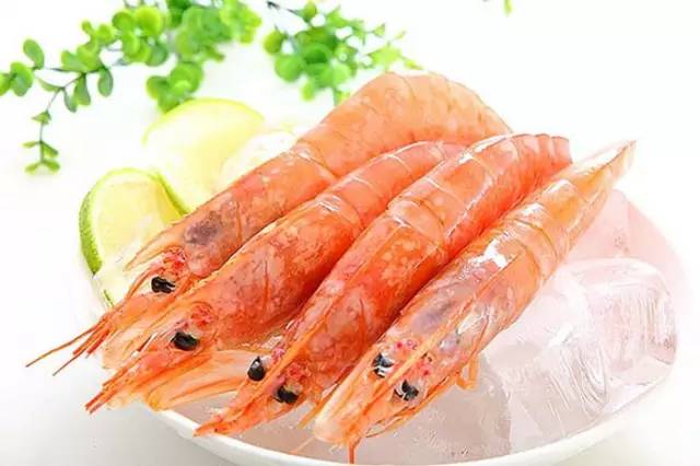 海洋界的“网红”阿根廷红虾限时特惠 - 188财富网