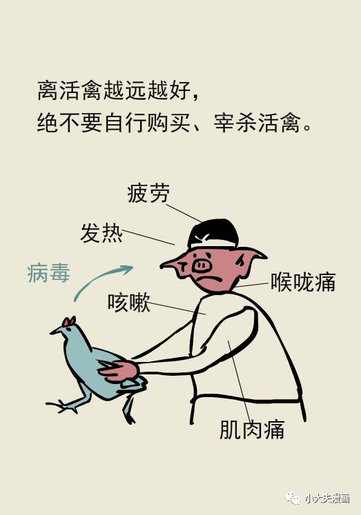 流行禽流感,还能不能愉快地吃鸡了?-搜狐