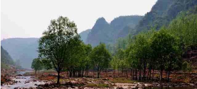 据说鹤山人都去过的地方-东齐地质公园:鹤鸣谷