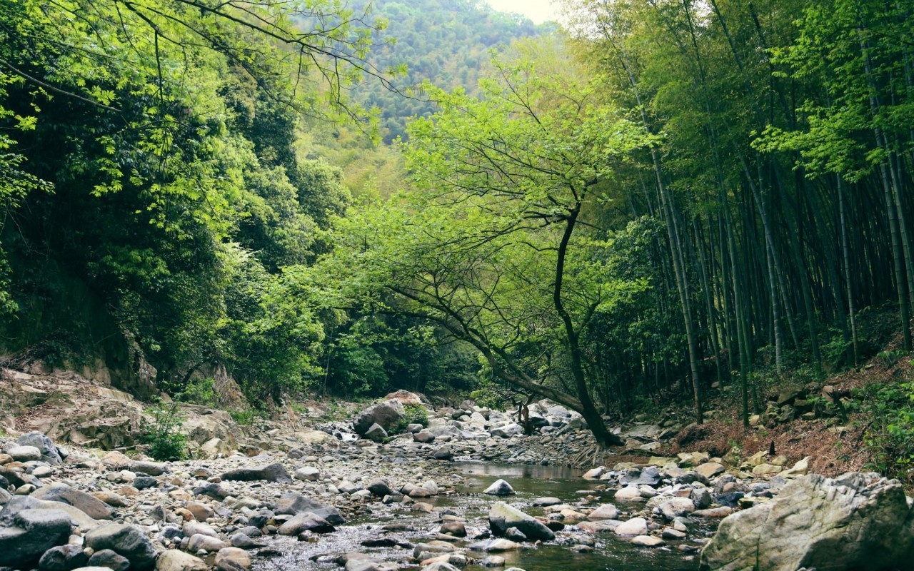 想和你,去【天童山森林公园】爬爬山