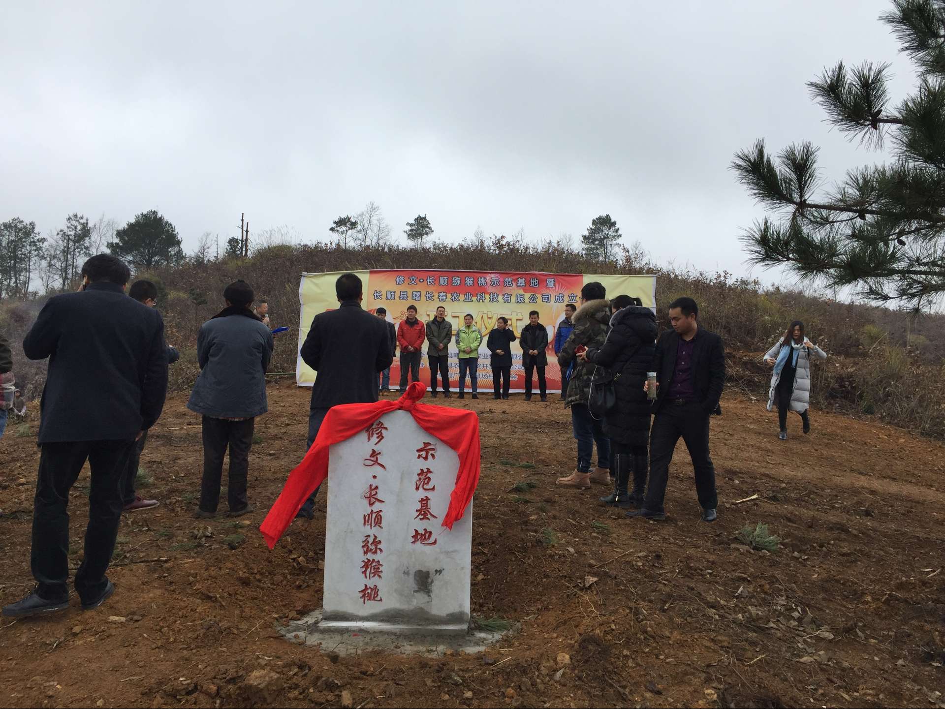 "站在山坡上,长顺县广顺镇鼠场村党支部书记罗仁祥喜滋滋的看着眼