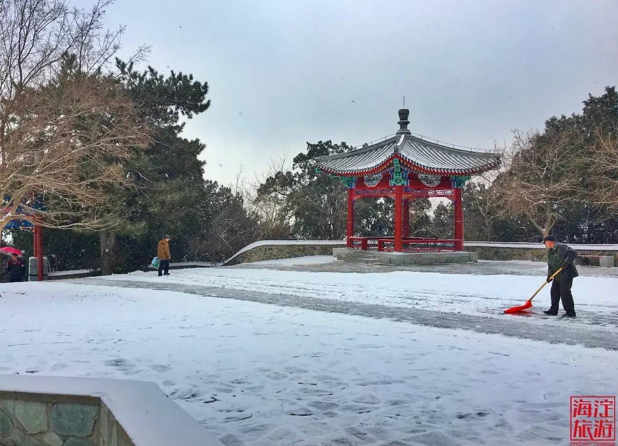 春雪 雪后的海淀,原来你是如此惊艳