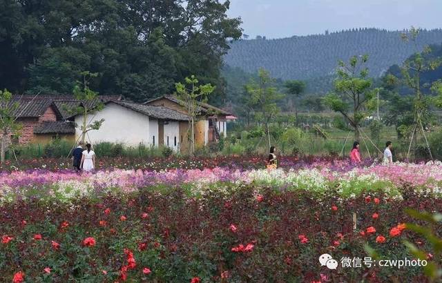 【火热报名中】3月17-19日 |韶关乐昌九峰,大唐花海,石塘古村,双峰寨