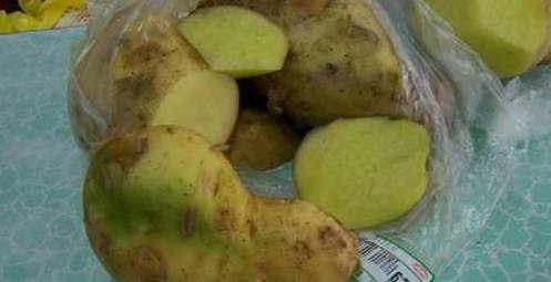 近日,山东淄博张店的周女士因为食用了 没有发芽,只是表皮发绿的土豆