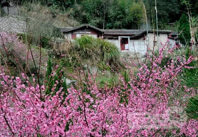 关注 | 福州八县的春天谁最美,连江人请为家乡投