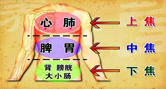 湿在中焦会脾虚,食欲不振,失眠,健忘,思虑过度,困倦无力,大便溏泻.