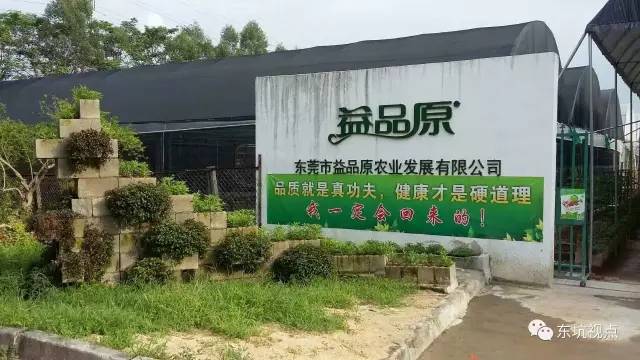 其它 正文  喜悦之乡生态园 地址:东坑农业园内的喜悦之乡生态园  益