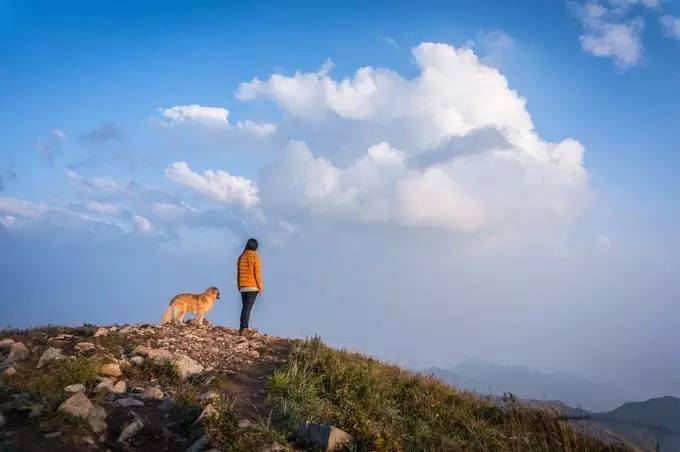 山川湖海,和主人一起在山顶眺望远方,在草场上欢脱的奔跑