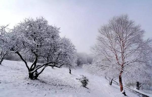 早安陕西 下雪了!