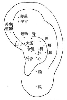 中医揭秘全息图为什么号脉就可以诊断病情