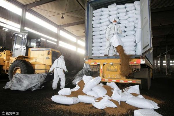天津销毁108吨禽流感疫区进口猫粮狗粮