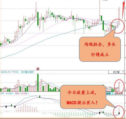 重磅消息:大冶特钢 中润资源 华凯创意 四川金顶