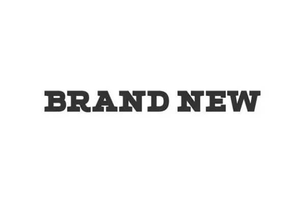 天博官方资本富厚的Logo资讯博客瓜分网Brand New庞大改版并换新logo(图1)