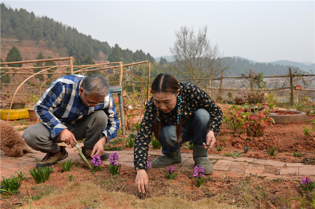 正文             现在花园修好了,周小林每天忙着给这个"鲜花山谷"