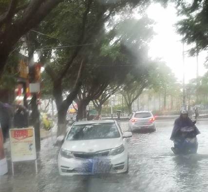 对这倾盆大雨一脸懵逼