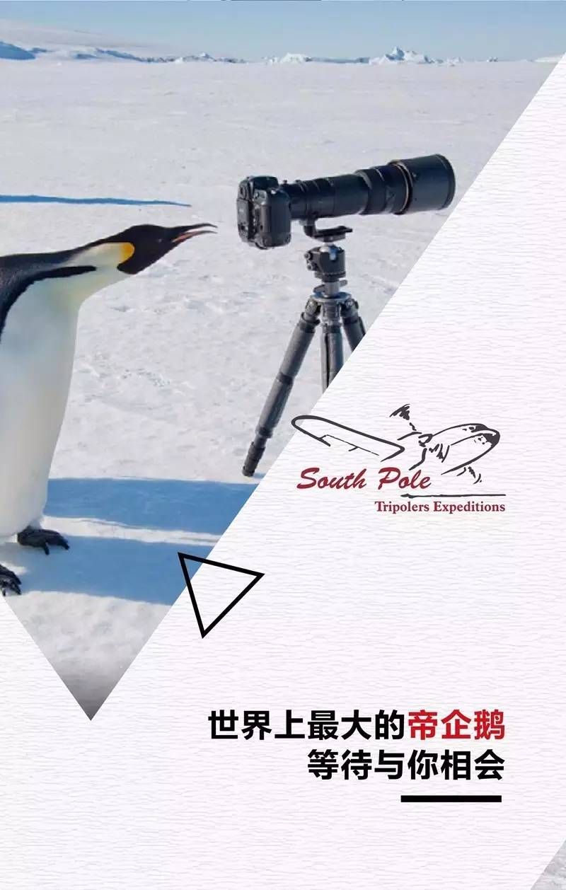 2017南极点·帝企鹅远征之旅