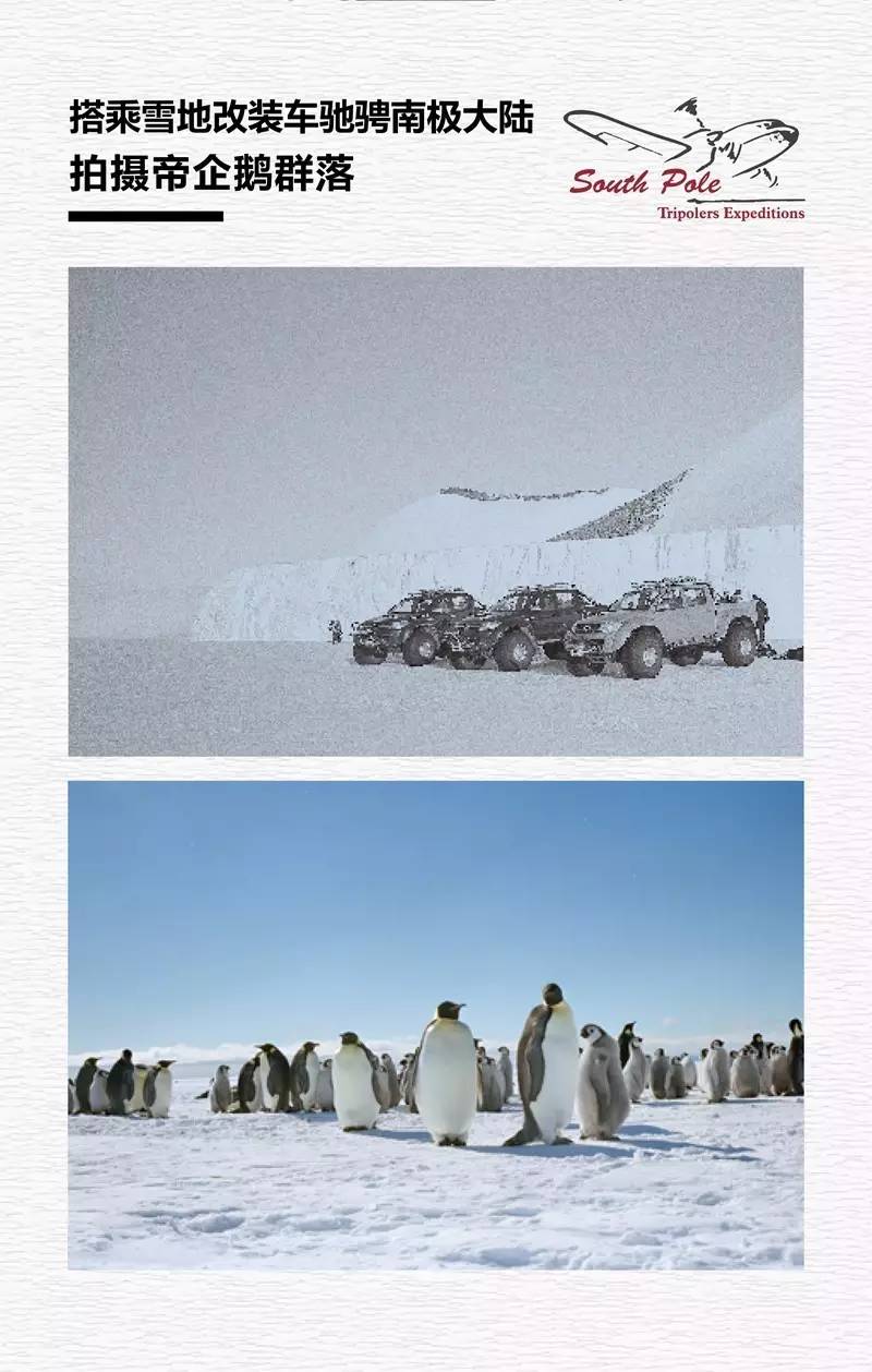 2017南极点·帝企鹅远征之旅