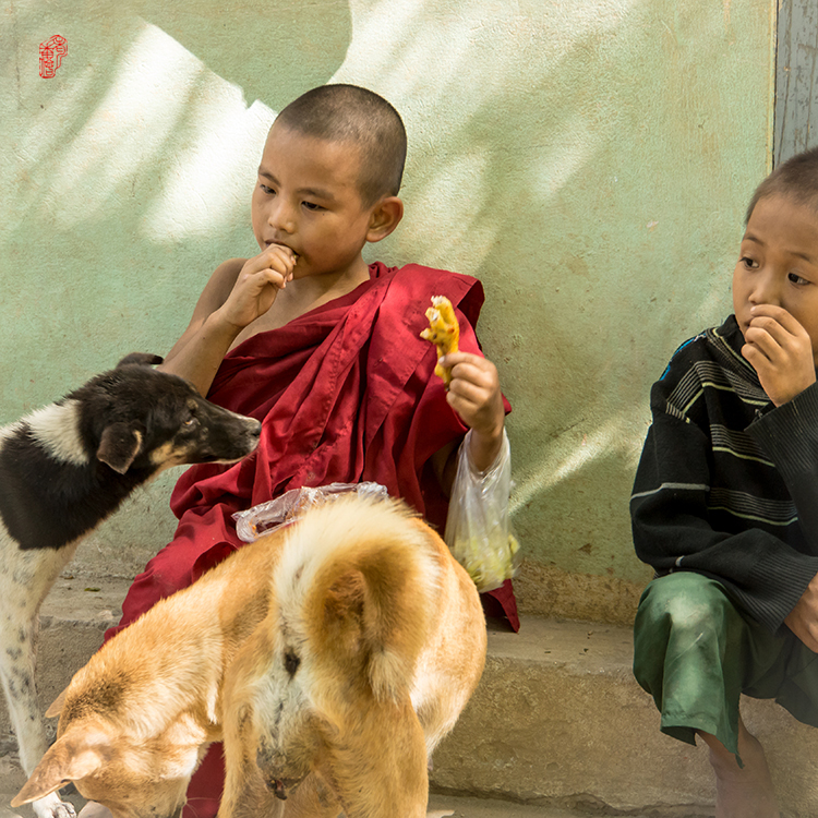 【原创】缅甸摄影团成果1--吃鸡爪的小和尚