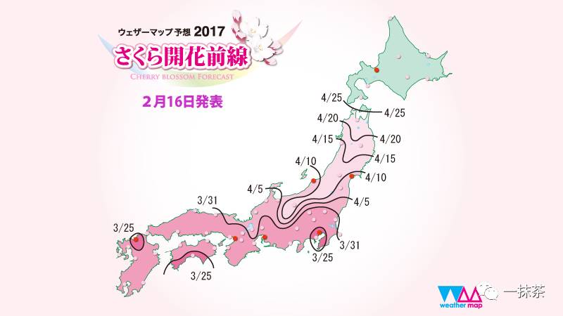 行日|2017樱花绽放时间表发布