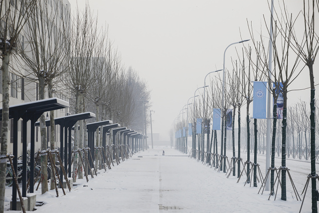 与你相遇谢谢你的这场雪