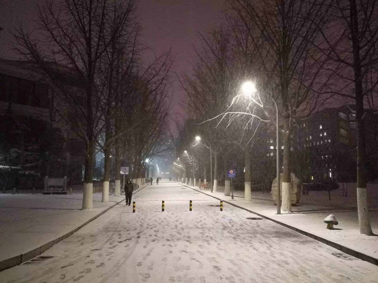 飞花令当诗词遇上这些交大雪景图美翻了