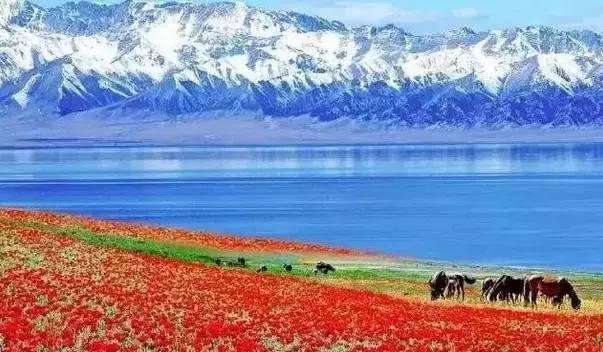 新疆是一个无论去了多少次, 总还想再去一次