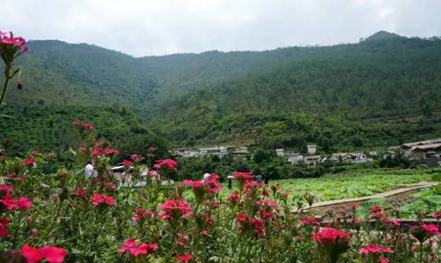 凤窝村位于玉溪市峨山县岔河乡西南部