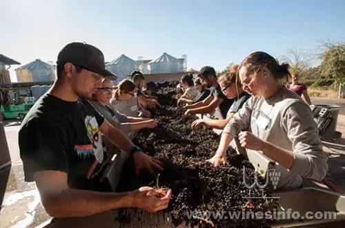 美国新规许可加州大学销售学生酿造的葡萄酒
