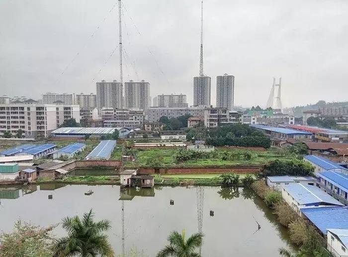 百色市人口有多少_广西各市人口数据调查新鲜出炉 百色市人口竟排全区.....(3)