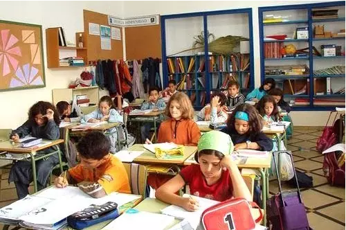 学生在整个小学教育阶段主要学习西班牙语,数学,综合科目(包括生物