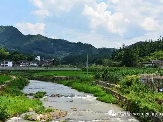 白云村:白云人家,山村秀色!