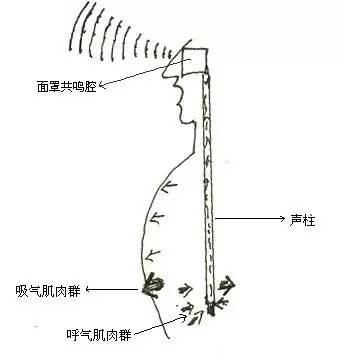 就必须依靠呼吸器官,又有人称气息为发生时的动力器官