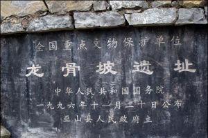 市巫山县庙宇镇龙坪村龙骨坡,发掘于1986年,是中国早期人类化石遗址