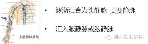 手把手教你做超声引导下腋静脉及浅静脉穿刺