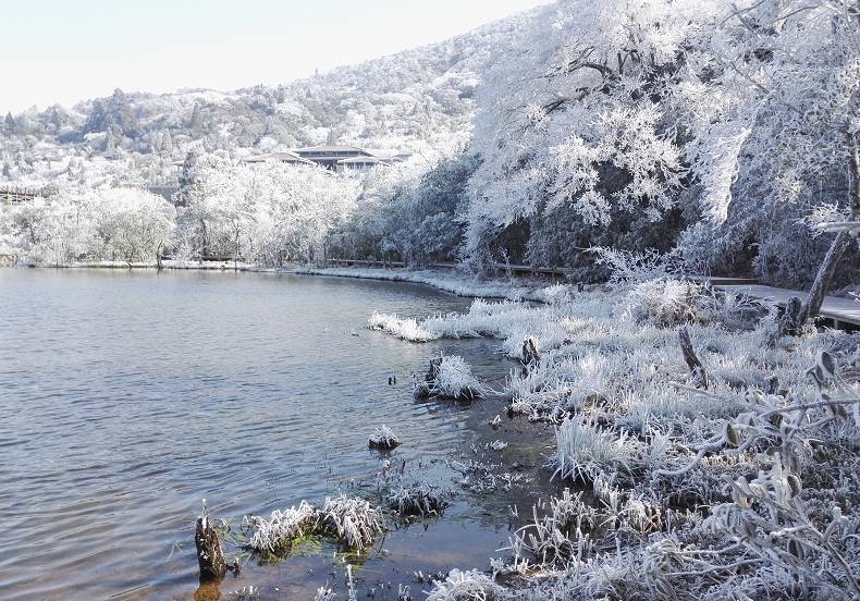 武夷山桐木关每年都是武夷山最早下雪的地区,也是下雪最频繁的地区.