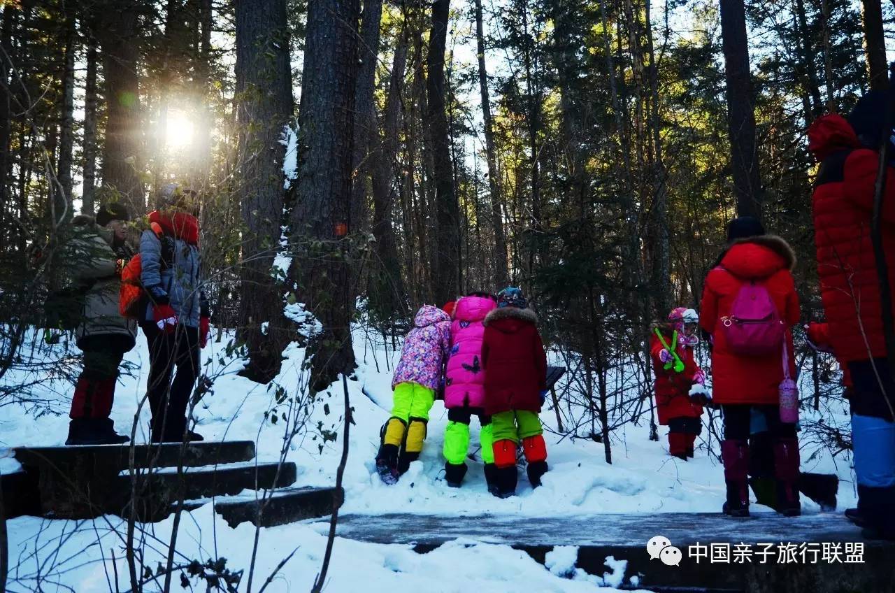 来自红松故乡的雪人